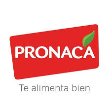Pronaca